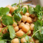 Brunnenkresse sammeln und zubereiten